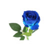 Blue Artificial Velvet Rose 1 Head 51cm