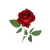 Red Artificial Velvet Rose 1 Head 51cm
