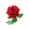 Red Artificial Rose 1 Head 74cm
