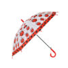 Ladybug EVA Umbrella For Kids 19inch