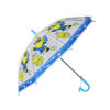 Pirate EVA Umbrella For Kids 19inch
