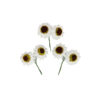 White Artificial Craft Sunflower 6pc 5cm