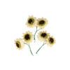 Champagne Artificial Craft Sunflower 6pc 5cm