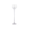 Clear Glasses Martini Vase Height 500mm