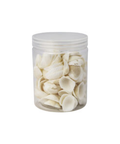 White Natural Sea Shells 300g