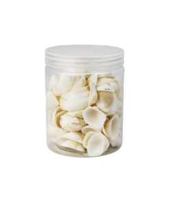 White Natural Sea Shells 300g