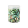 Green Natural Sea Shells 300g