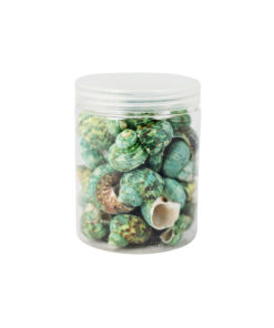 Green Natural Sea Shells 300g