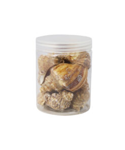 Natural Sea Shells 240g