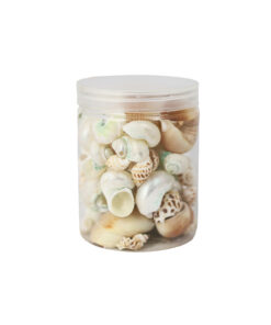 Mixed Natural Sea Shells 250g