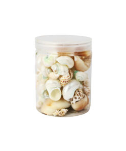 Mixed Natural Sea Shells 250g