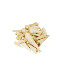 Alternative view of Sea Shell SS121 350g