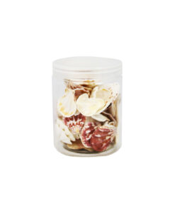 Sea Shell SS135 300g