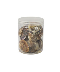 Natural Sea Shells 200gv