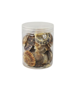 Natural Sea Shells 200g