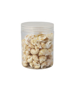 Natural Sea Shells 250g