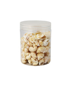 Natural Sea Shells 250g