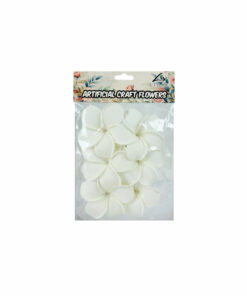 White Frangipani 6cm 6pc
