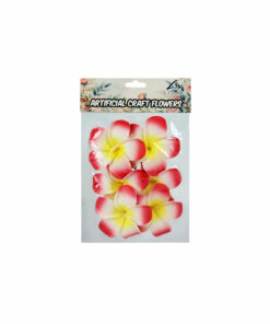 Red Frangipani 8cm 6pc