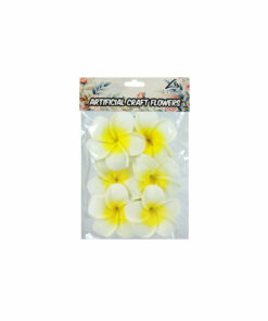 White & Yellow Frangipani 8cm 6pc