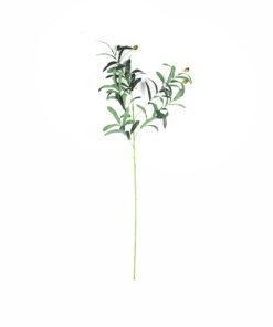 6 Bunch Olive Leaves 95cm #1