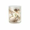 Sea Shell Set