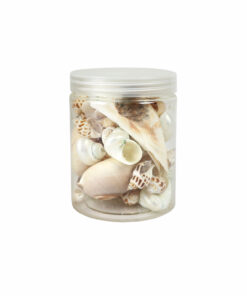 Sea Shell Set