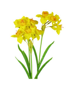 Yellow Daffodil 3 Branched 79cm