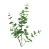 Money Leaf 11 branch 93cm