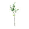 Money Leaf Stem 93cm