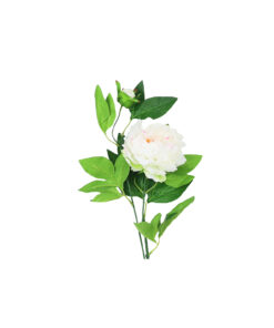 White Green Tea Peony 74cm