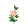 Peach Green Tea Peony 74cm