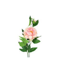 Peach Green Tea Peony 74cm