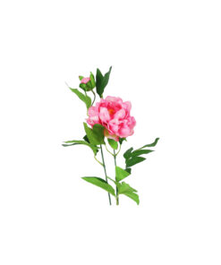 Pink Green Tea Peony 74cm