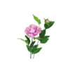 Purple Green Tea Peony 74cm