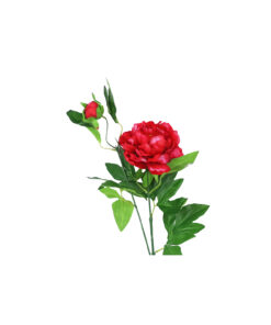 Red Green Tea Peony 74cm
