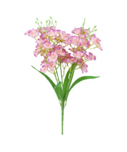 Orchid 5 Branch 42cm Assorted