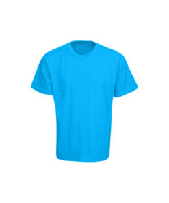 Blue T-Shirt For Adult Size XL