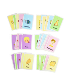 Body Part Flash Card 36pc 7.8x11.7cm