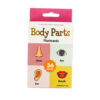 Body Part Flash Card 36pc 7.8x11.7cm