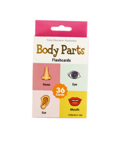 Body Part Flash Card 36pc 7.8x11.7cm