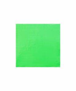 Green Large Napkin 50pk