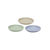 Eco-Friendly Plate 19.5cm Asstorted