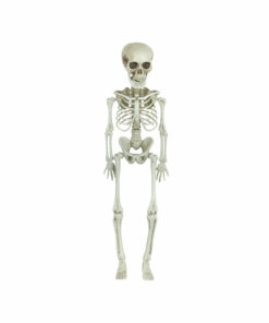 White Skeleton 42cm