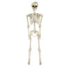 White Skeleton 170cm