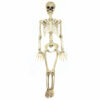 White Skeleton 90cm