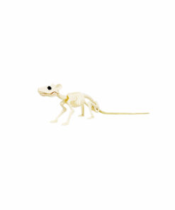 Plastic Skeleton Rat 4 x 34 x 4cm