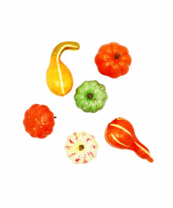 Fall Pumpkin Set 6pc