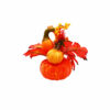 Autumn Harvest Festival Pumpkin Potted 30g