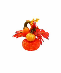 Autumn Harvest Festival Pumpkin Potted 30g